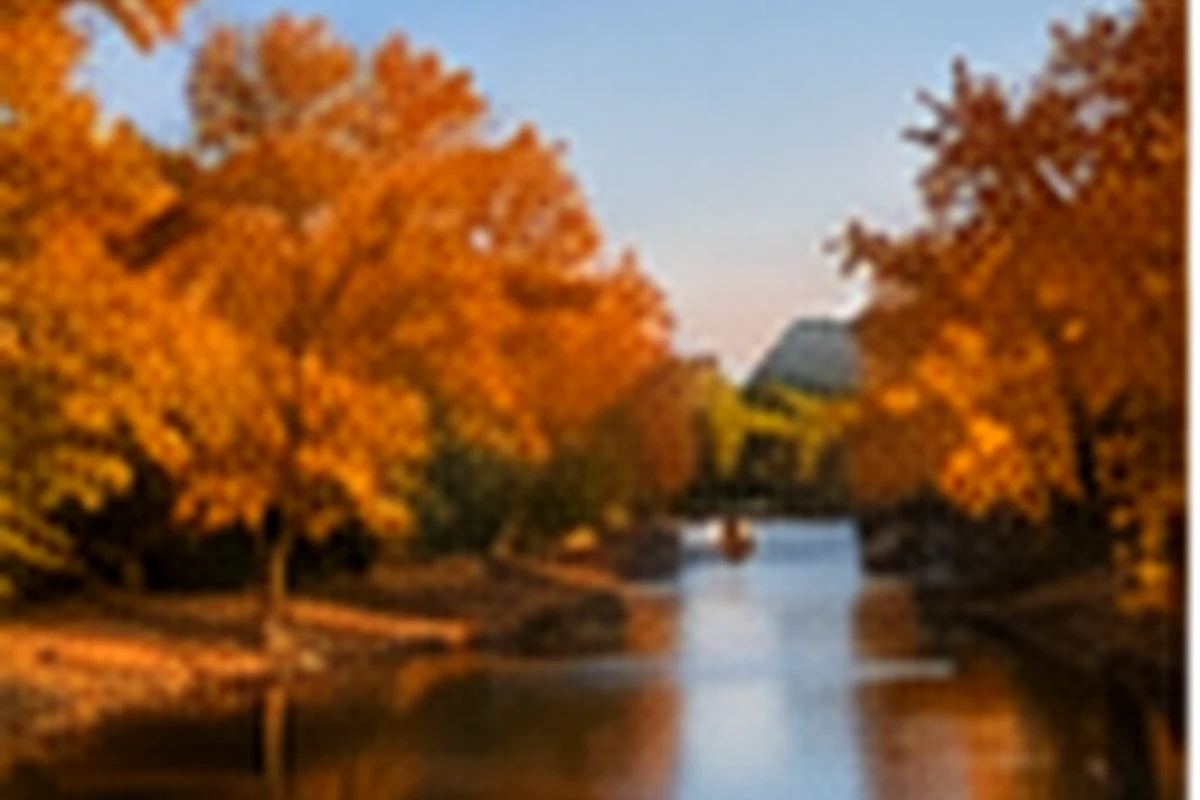 Autumn urban street and seasonal climate testing