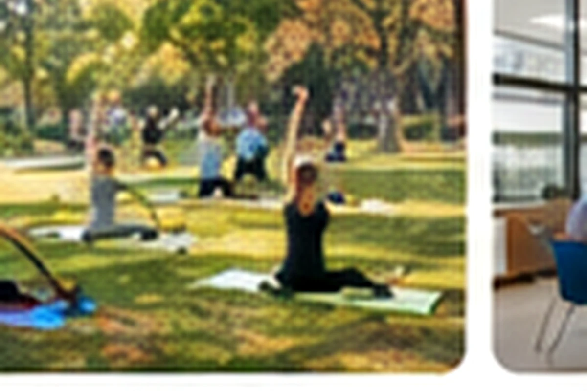 Morning exercise and park routine