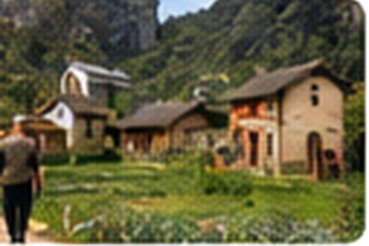 Rural village house as caution for service access